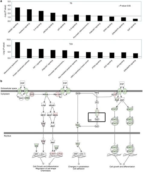 Gene Pathway Analysis A Graph Showing Top Scoring Canonical