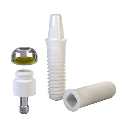 Straumann Pure Natural Looking Tissue And Bone Level Dental Implant Systems