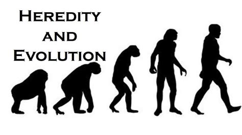 Class 10 Heredity And Evolution Fact Science Square