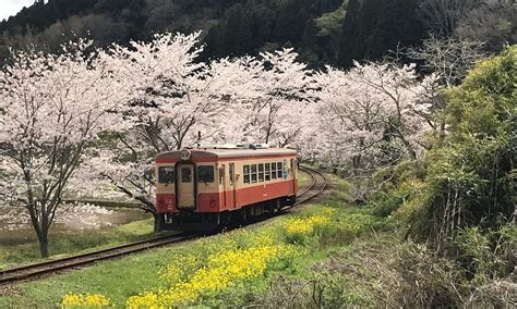 いすみ鉄道（千葉県） ナショナル・スタジアム・ツアーズ