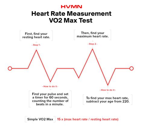 Vo2 Max Training To Use Oxygen Efficiently Hvmn Blog Ketone Iq®