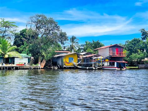 Qu Ver Y Hacer En Tortuguero Gu A Completa