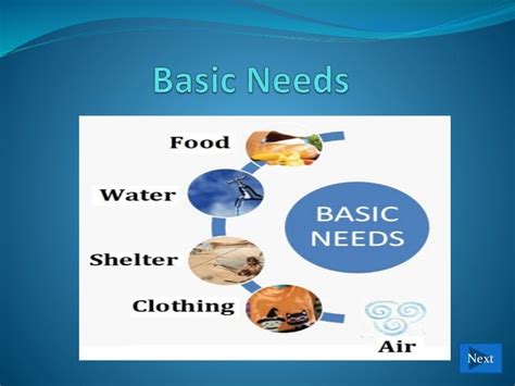 Basic Needs