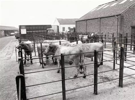 Old Cambridge Picture Quiz Cambridgeshire Live