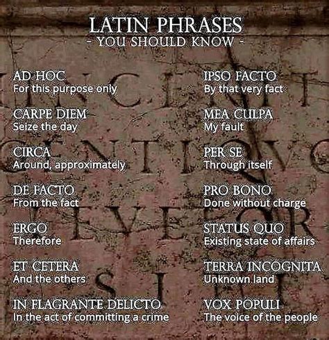 Pin By Jeff Fitzpatrick Adams IRISH C On WORDS About Words Latin