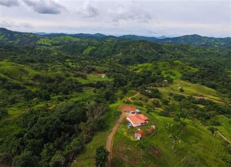 Fincas en Panamá Soná venta Venta Finca en Soná Veraguas 1 200