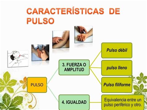 Frecuencia Cardiaca Pulsoprincipios De Enfermeria Ppt