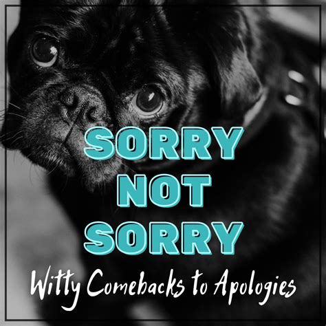 100 Funny Replies and Witty Comebacks to an Apology - PairedLife