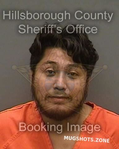 Maldonado Ricardo Hillsborough County Mugshots Zone