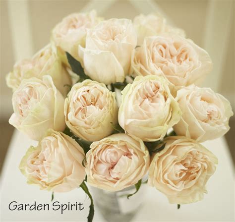 The Blush Pink Rose Study | Flirty Fleurs The Florist Blog ...