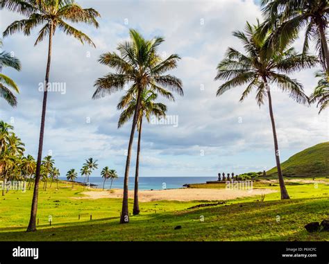 Anakena Beach Easter Island Chile Stock Photo Alamy