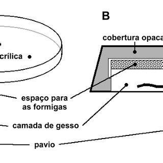 Desenhos em corte esquemático de compartimentos para abrigar