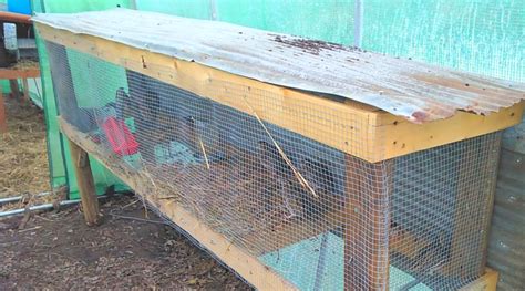 Easy Quail Hutch You Can Build In One Weekend Backyard Poultry