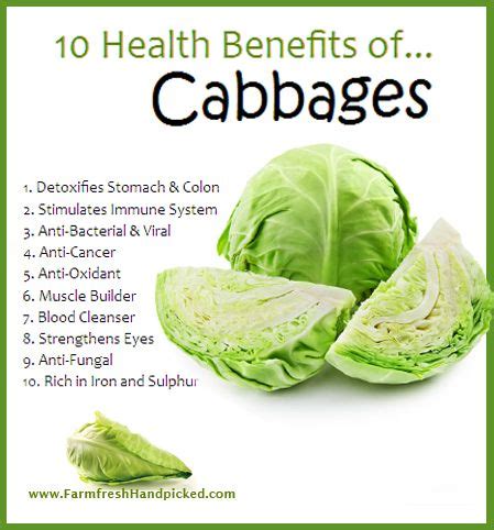 Health Benefits Of Cabbage Cabbage Health Benefits Food Health