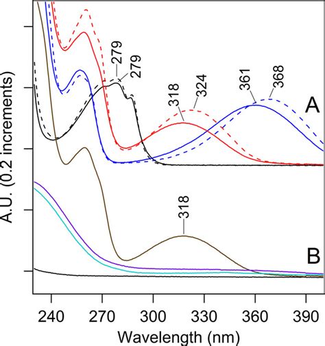 Absorption Spectra Of Model Compounds A Spectra Of 40 M Tryptophan In