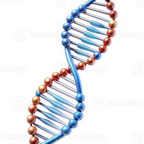 3d illustration of dna helix with colorful spheres on transparent 