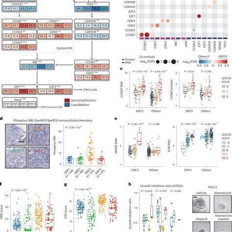 Schematic Overview Of The Study A Multi Omics Cohort Of HR HER2