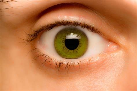 Keep Your Eyes Healthy On World Sight Day Tips Advice Huffpost Uk Life