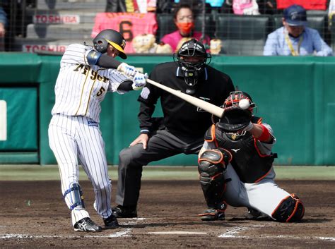 阪神佐藤輝明が初の伝統の一戦で決勝4号ソロ／詳細 プロ野球ライブ速報写真ニュース 日刊スポーツ