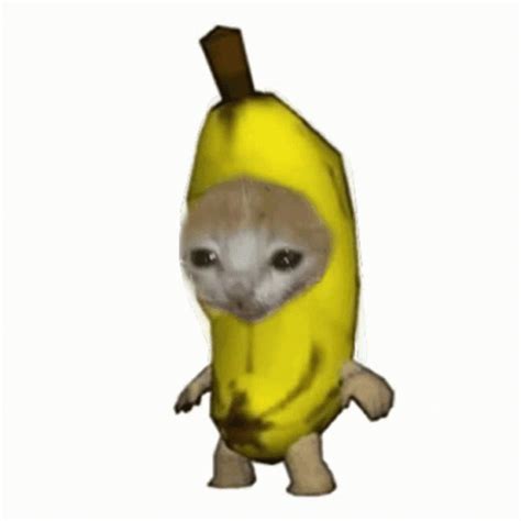 Banana Cat GIF - Banana Cat - Descubre y comparte GIF