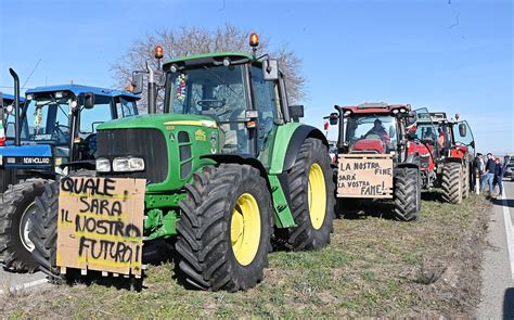 Protesta Dei Trattori Le Marche Si Mobilitano A Pesaro E Porto