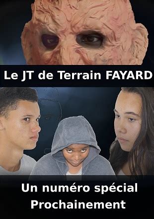 Affichejuin College Terrain Fayard