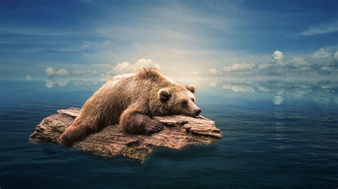 Grizzly Bear Wallpapers - Top Free Grizzly Bear Backgrounds - WallpaperAccess