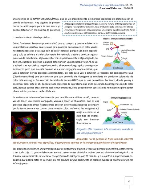 Solution Histoqu Mica Y Epitelios Studypool