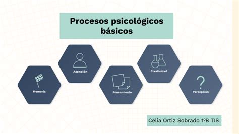 Procesos Psicológicos Básicos By Ruben Adrv On Prezi