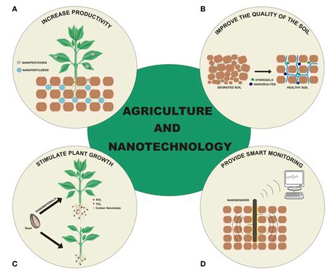 Figure 1 From Nanotechnology In Agriculture Which Innovation Potential