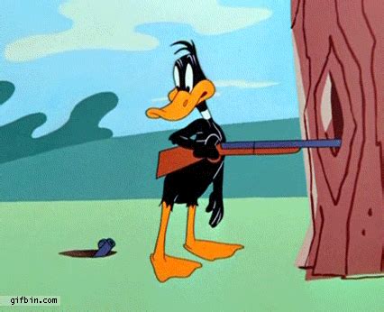 A Daffy Duck Gif Collection | Cartoon Amino