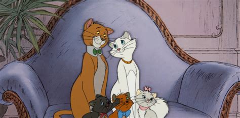 Aristocats Names: The Fierce Feline Names You Need to Know!