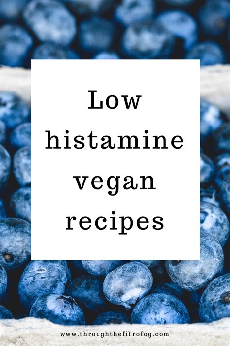 Low histamine vegan recipes collection plus protein sources ideas for ...