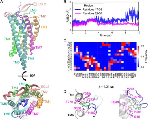 Figure 1 From The Origin And Evolution Of Sex Peptide And Sex Peptide