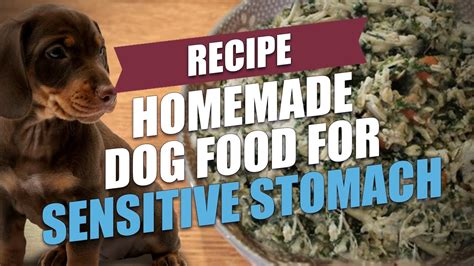 Homemade Dog Food for Sensitive Stomach Recipe (for GI disorders) – HousePetsCare.com