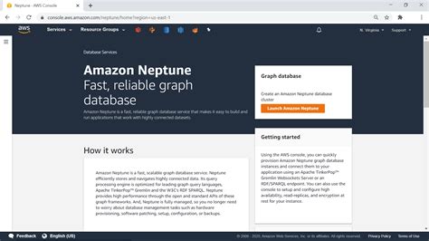 Working With Aws Neptune Graph Databases