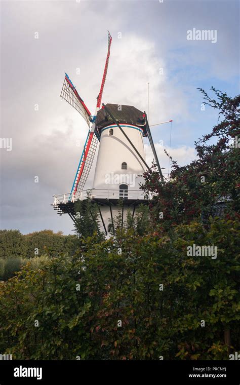 A Traditional Dutch Windmill With The Colors Of The Flag Of The