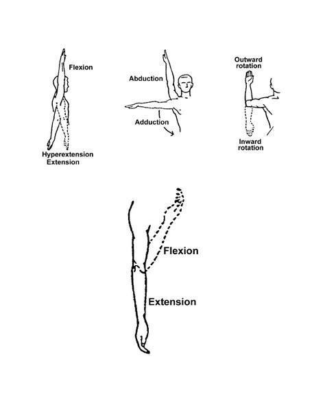 Isometric Shoulder Exercises Handout