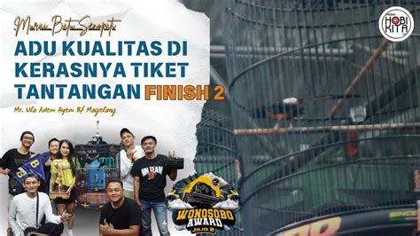 Murai Batu Senopati Unjuk Kualitas Di Tiket Utama Finis Runner Up Youtube