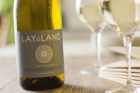 Lay Of The Land Elevation Vineyard Sauvignon Blanc 2023 Naked Wines