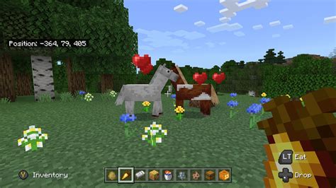 How To Breed Horses In Minecraft Citizenside