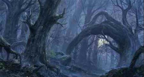 Eerie Forest Scene Fantasy Forest Forest Wallpaper Forest Art