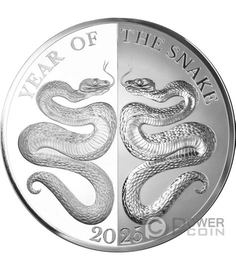 Mirror Snake Chinese Lunar Year Oz Moneta Argento Tokelau