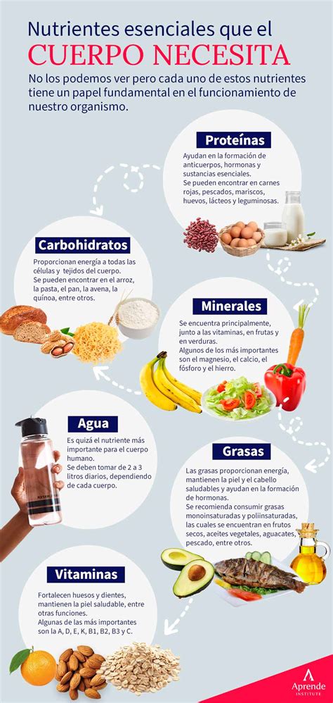 Tipos De Nutrientes Por Qu Y Cu Les Necesitas Aprende Institute