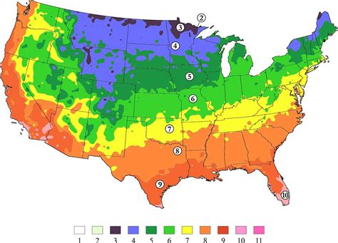 What Are The Planting Zones In Usa – Beautiful Flower Arrangements and ...