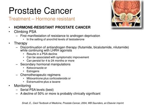 Ppt Prostate Cancer Powerpoint Presentation Free Download Id 63763