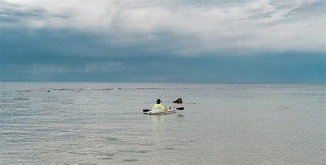 Eyre Peninsula Beaches - Travel Guide – The Green Adventurers