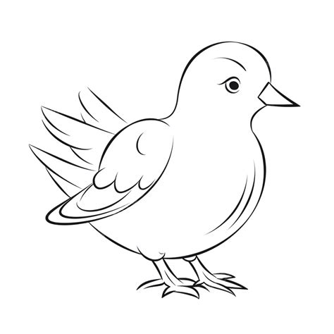 رسم طيور للاطفال