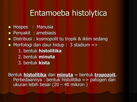 Ppt Protozoa 1 Powerpoint Presentation Free Download Id2119997