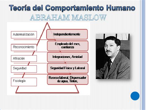 Descubre la Teoría del Comportamiento Humano Guía Completa Teoría Online